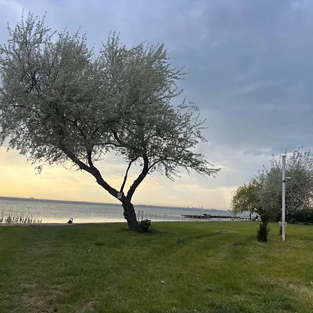 Mamaia Lake Residence * Mamaia